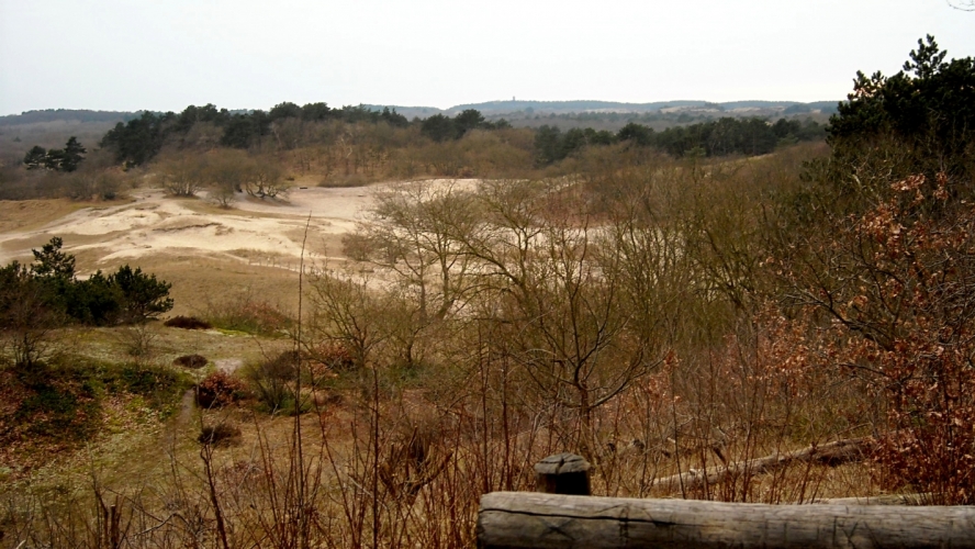 DSCN0093.JPG