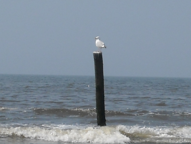 DSCN0302.JPG