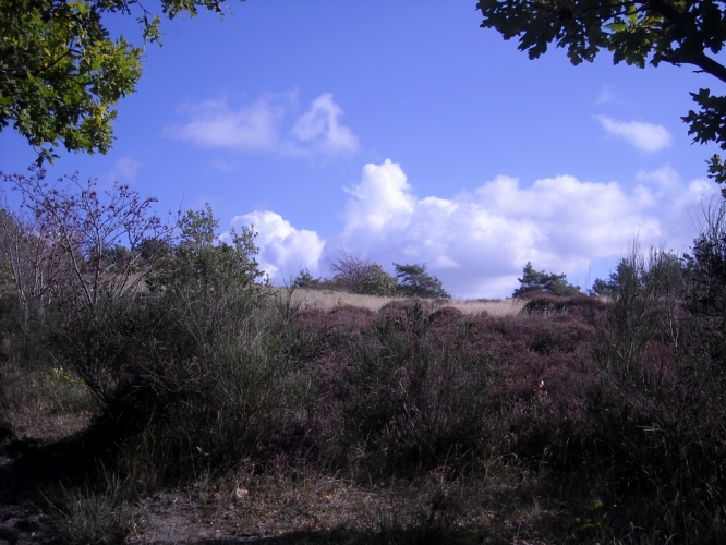 DSCN1369.JPG
