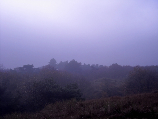 DSCN1405.JPG