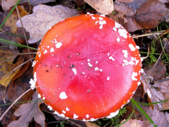 DSCN1420.JPG