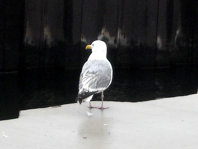 DSCN2345.JPG