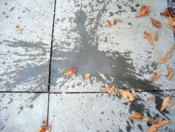 DSCN4854.JPG