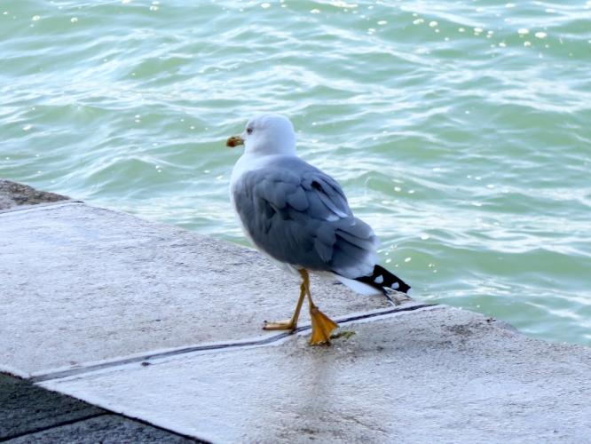 IMG_0360.jpg