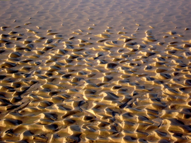 P1090009.JPG