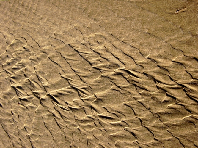 P1090011.JPG