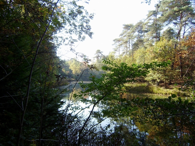 PA140026.JPG