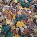 2011-11-13_11_00_04.jpg