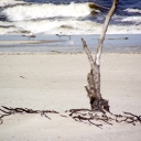 DSCF1299.JPG