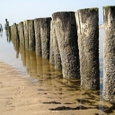DSCN0125.JPG