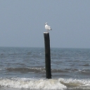 DSCN0302.JPG