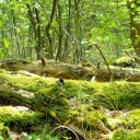 DSCN0359.jpg