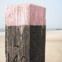 DSCN0559.JPG