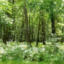 DSCN0818.JPG