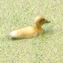 DSCN0880.JPG