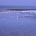 DSCN1428.JPG