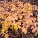 DSCN1455.JPG