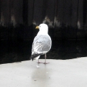 DSCN2345.JPG