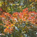 DSCN3522.JPG