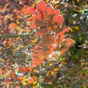 DSCN3524.JPG