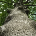 DSCN3586.JPG