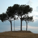 DSCN3867.JPG