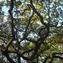 DSCN4738.JPG
