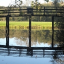 DSCN4810.JPG