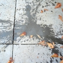 DSCN4854.JPG