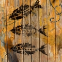 HPIM2794.JPG