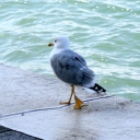 IMG_0360.jpg