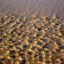 P1090009.JPG