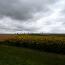 P7170027.JPG