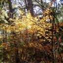 PA140038.JPG