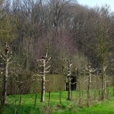 PIC_0677.JPG