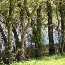 YBRJ5783.JPG