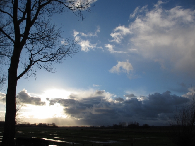Polder Bergen, 2 - 12 - '12
