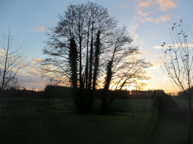 Twekkelo, 19 - 12 - '14.
