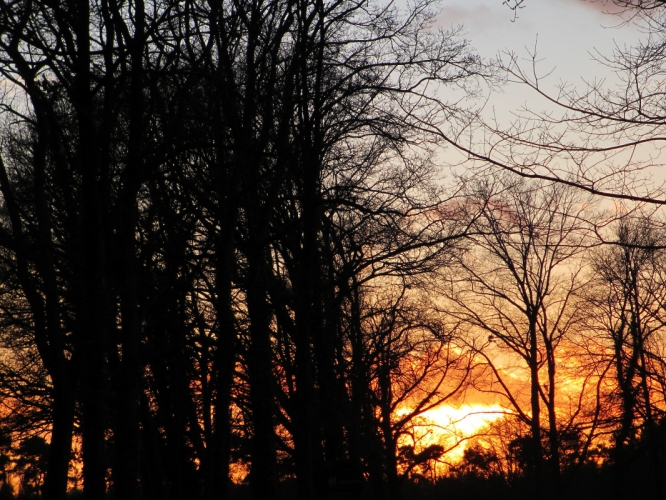 Twekkelo, 19 - 12 - '14.
