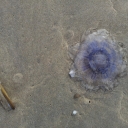 2012-06-23_19_57_28-1.jpg