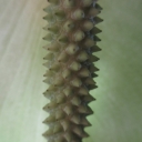 2012-11-08_15_42_32.jpg