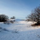 2012-12-08_15_59_09.jpg