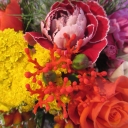 2013-06-13_13_47_54.jpg