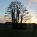 IMG_2356.JPG
