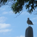 IMG_7835.JPG