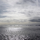 IMG_8780.JPG